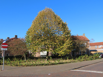 912172 Gezicht in de Julianalaan (rechts) te Vleuten (gemeente Utrecht), vanaf de Vleuterweideweg, met op de voorgrond ...